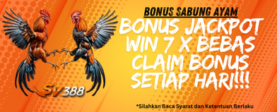 PROMO BONUS 100% SABUNG AYAM MENANG BERUNTUN